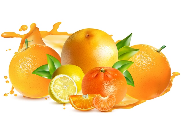 Jugo de naranja y limón diseño eps vector