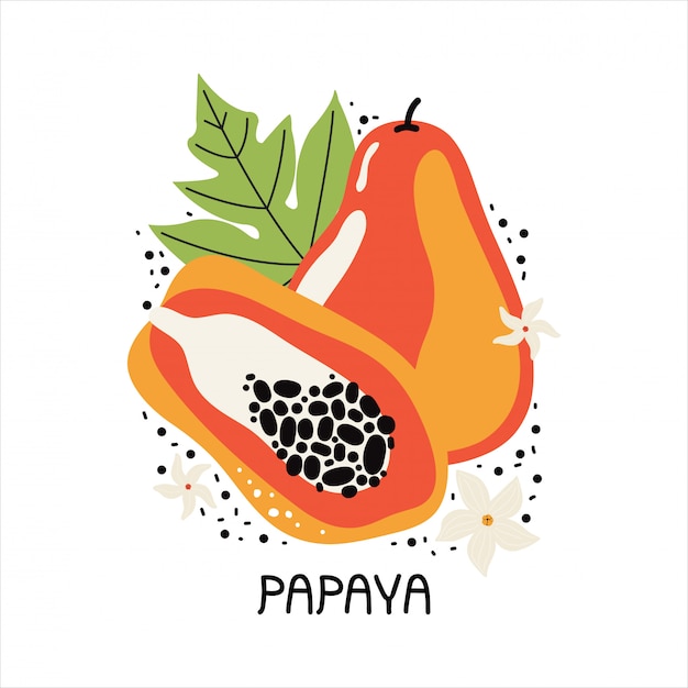 Jugosa papaya naranja con hojas y flores. Dibujado a mano rebanada de fruta tropical con carne y semillas. Ilustración plana sobre un fondo blanco. Texto escrito a mano papaya. Doodle frutas de la selva