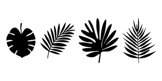 Juntas de hojas tropicales, flores, diseño sencillo en blanco y negro de hojas tropical y silueta de palma