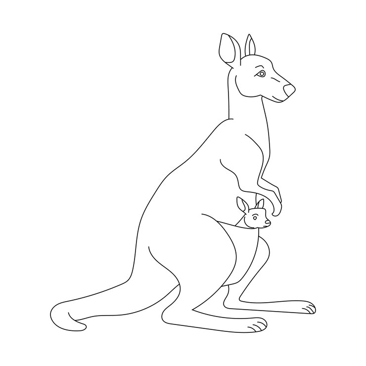 Kangaroo Clipart dibujos animados animales salvajes Clipart Set para los amantes de la vida silvestre