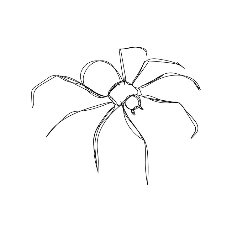 Vector karakurt arrastrándose una línea de arte línea continua de tema de halloween araña gótica horrible