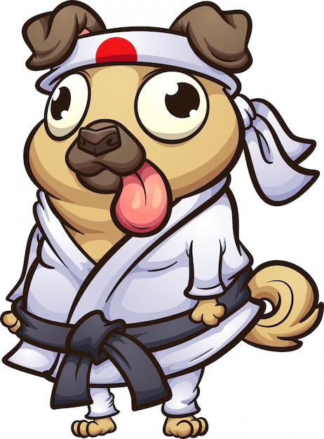 Karate pug