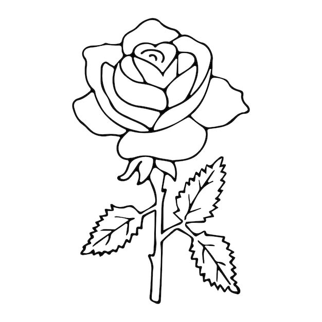 Kids Coloring Pages Cute Rose Flower Vector ilustración EPS e imagen