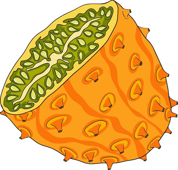 Vector el kiwano col4