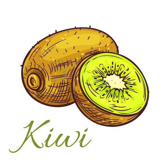 Kiwi con dibujo aislado de rebanada jugosa