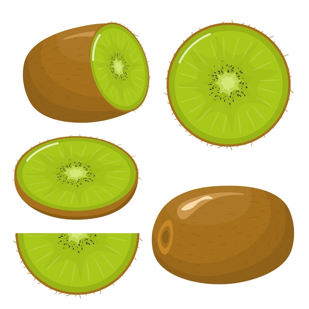 Kiwi entero y cortado aislado en estilo plano de fondo blanco