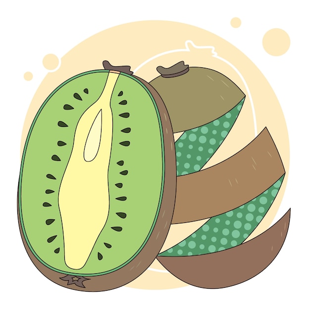 kiwi de fruta cortada a la mitad del vector