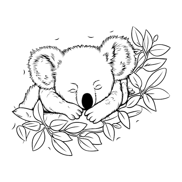 Vector koala durmiendo en una rama de eucalipto ilustración vectorial dibujada a mano