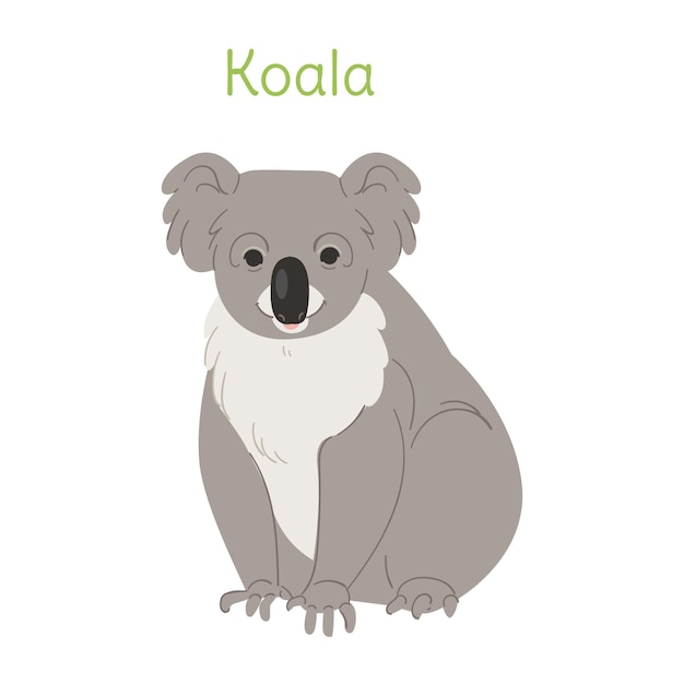 El koala está parado pájaro australiano en una ilustración de vector plano de estilo simple