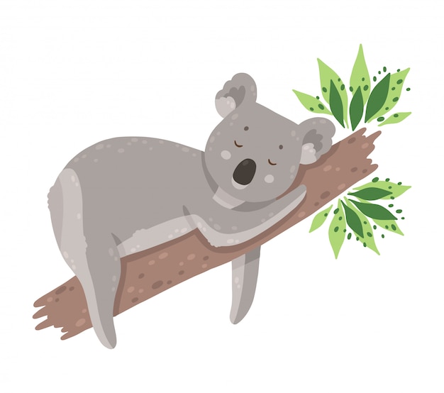 Vector koala lindo durmiendo aislado