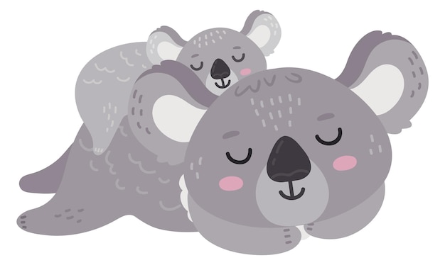 Koala mamá con bebé dormir juntos Lindo animal aislado sobre fondo blanco
