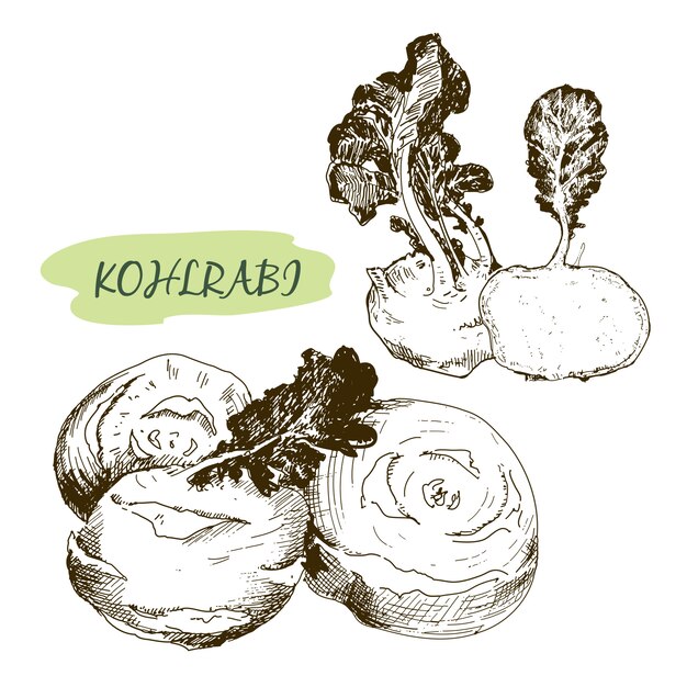 Kohlraby