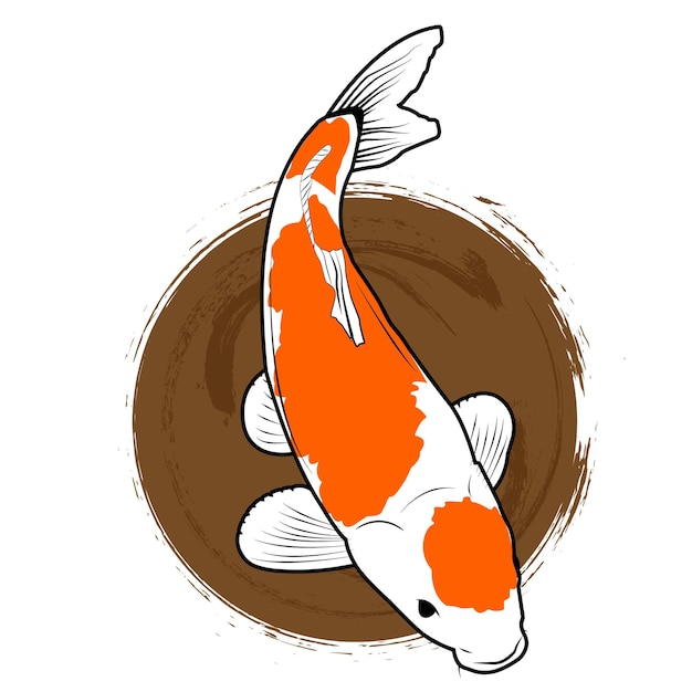 Vector koi peces de colores