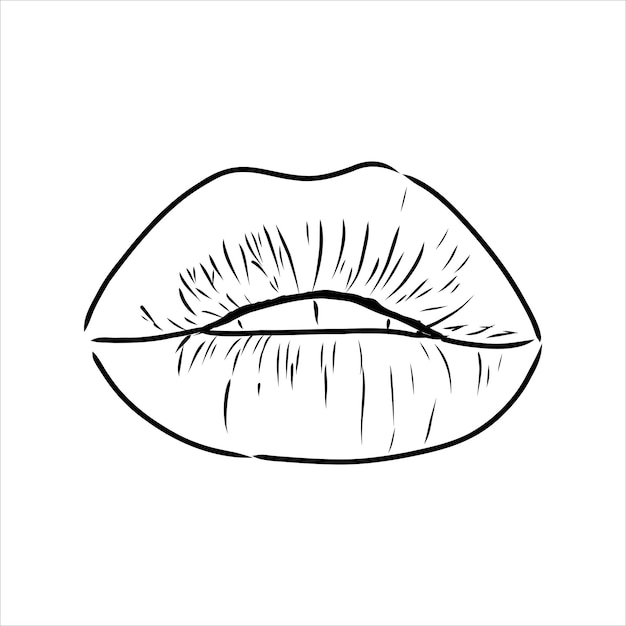 Labios regordetes sexy besan acuarela rosa y arte lineal, ilustración de vector dibujado a mano aislado