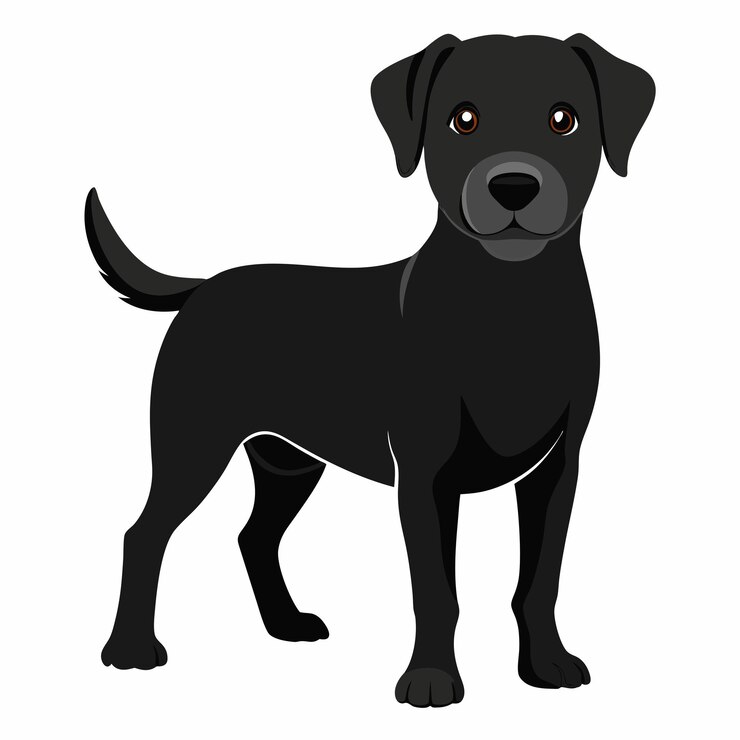 Vector labrador terrier negro joven aislado sobre fondo blanco para adopción o promoción como mascota