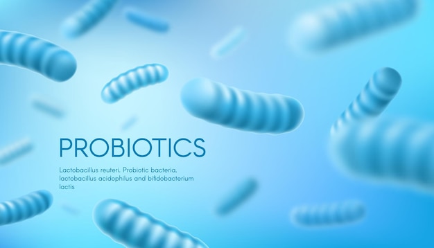 Vector lactobacillus bifidobacterium bacterias probióticas