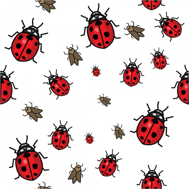 Vector lady bird seamless pattern