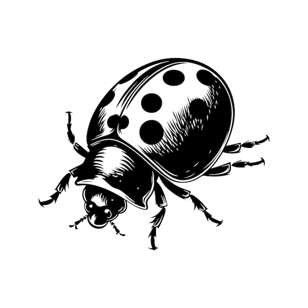 Ladybug vintage logo línea arte concepto blanco y negro color dibujado a mano ilustración