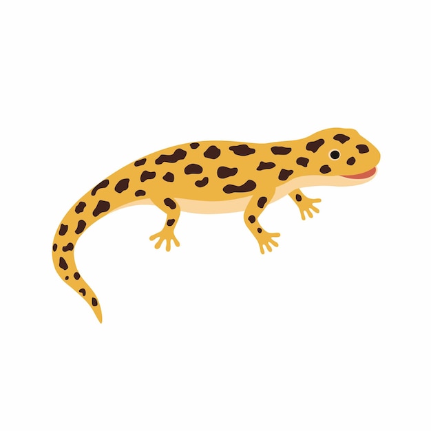 Vector lagarto amarillo, salamandra manchada. ilustración de vector aislado sobre fondo blanco.