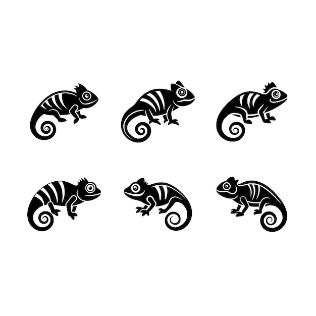 un lagarto blanco y negro con un diseño negro en él
