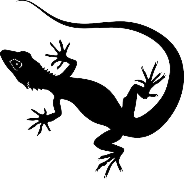 Lagarto vector silueta ilustración color negro