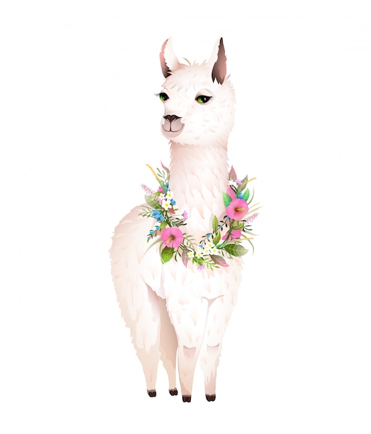 Vector lama animal design con flores laurel