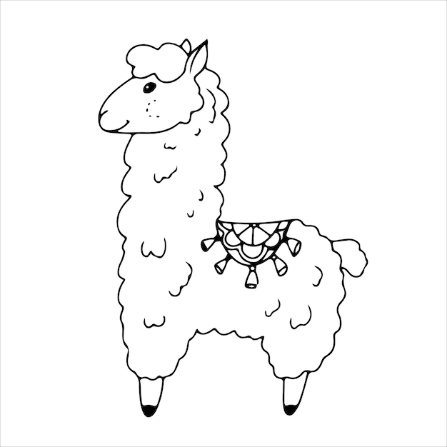 Lama o Alpaca en estilo doodle o boho. Dibujo lineal simple. Ilustración de vector de invierno aislado sobre fondo blanco.