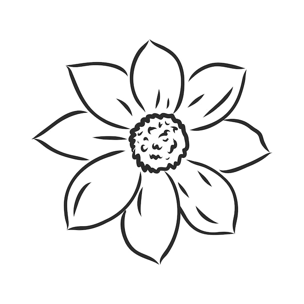 Lápiz de tinta el bosquejo de vector de decoración de flores de hojas y flores sobre fondo blanco