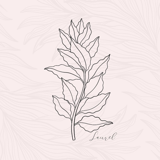 Vector laurel de rama floral en art nouveau 19201930 dibujado a mano en un estilo lineal con tejidos de líneas hojas y flores