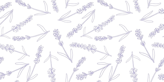 Lavanda colorido vector patrón dibujado a mano gráfico flor textura fondo boceto