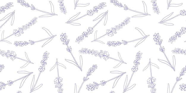 Lavanda colorido vector patrón dibujado a mano gráfico flor textura fondo boceto