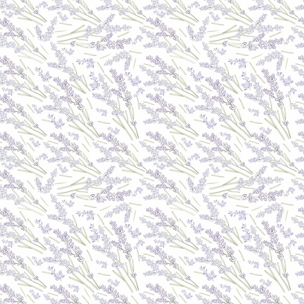 Lavanda contorno de patrones sin fisuras