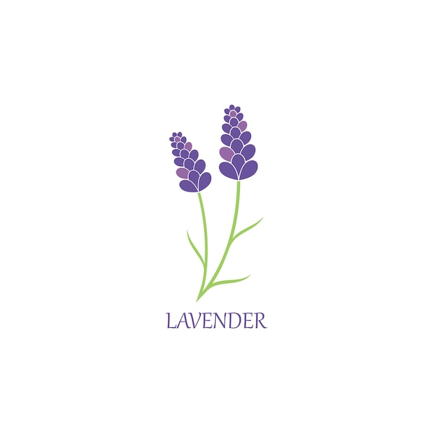 Lavanda floral aromático logo vector icono ilustración