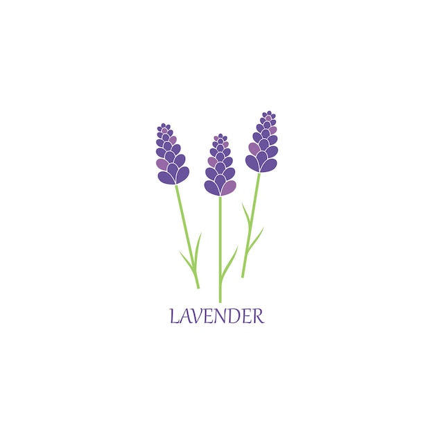 Lavanda floral aromático logo vector icono ilustración
