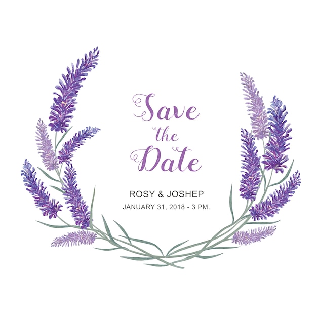 Lavanda florece la acuarela. Floral y hojas en un fondo blanco para la invitación o la boda