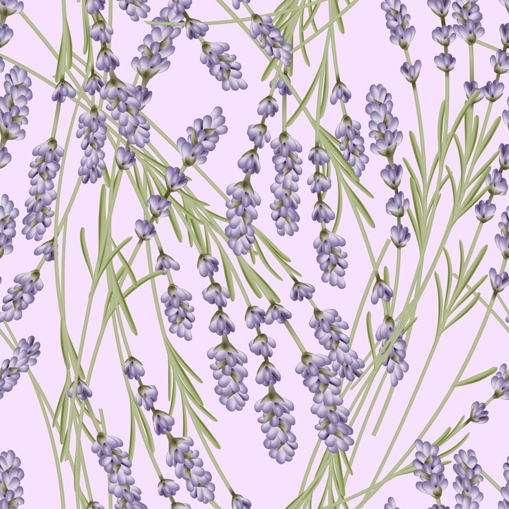 Lavanda francesa de patrones sin fisuras en fondo rosa pastel