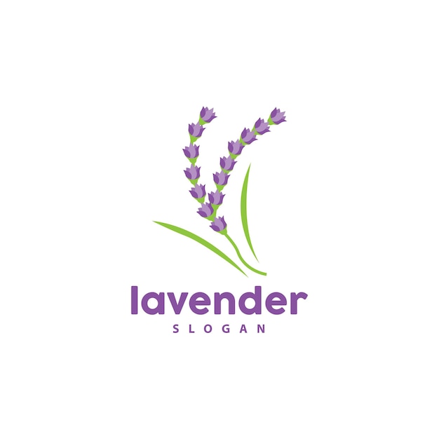 Lavanda Logo Simple Elegante Flor Púrpura Planta Vector Tarjeta De Felicitación Diseño Banner Flor Adorno Lavanda Dibujado A Mano Boda Icono Símbolo Ilustración