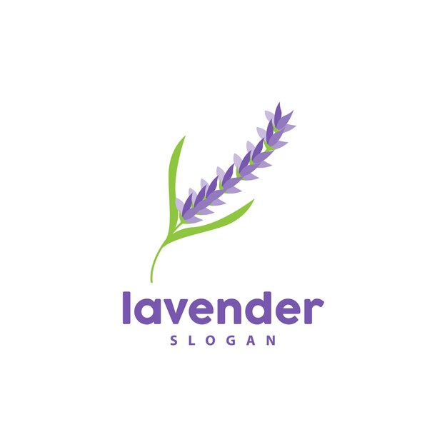 Lavanda Logo Simple Elegante Flor Púrpura Planta Vector Tarjeta De Felicitación Diseño Banner Flor Adorno Lavanda Dibujado A Mano Boda Icono Símbolo Ilustración