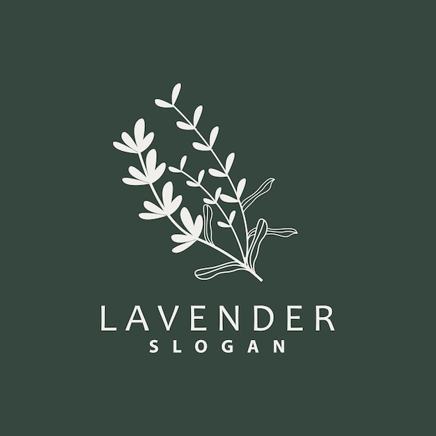 Lavanda Logo Simple Elegante Flor Púrpura Planta Vector Tarjeta De Felicitación Diseño Banner Flor Adorno Lavanda Dibujado A Mano Boda Icono Símbolo Ilustración