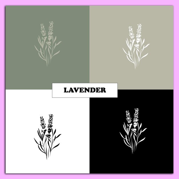 Vector lavanda y sus derivados