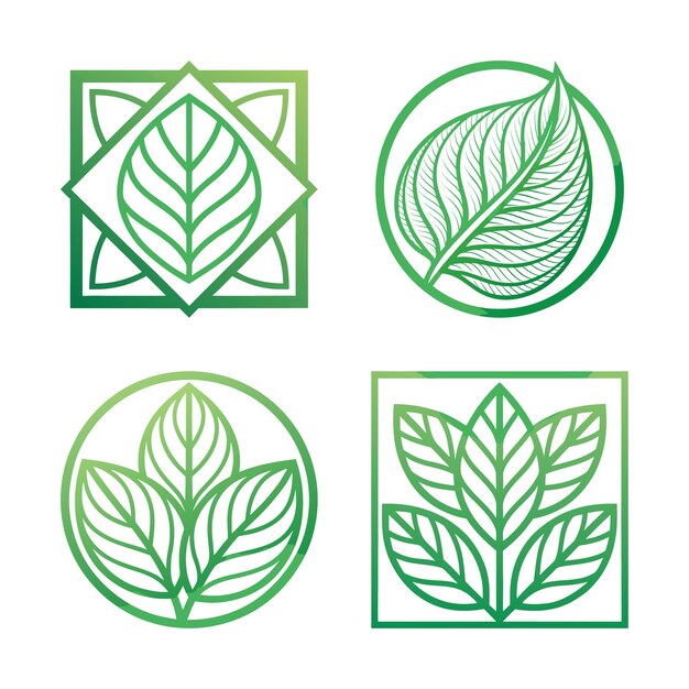 Leaf Shapes Master Set Colección de íconos circulares y cuadrados para diseños modernos