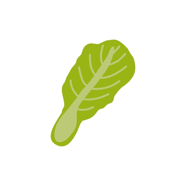 Lechuga icono dibujos animados vegetales orgánicos vector comida sana salsd ilustración