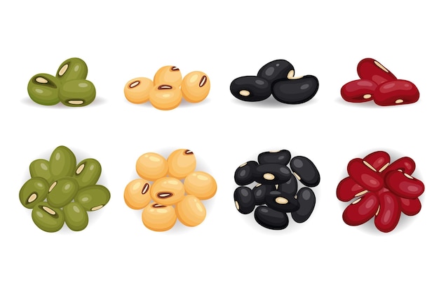 Leguminosas con diferentes tipos de frijoles Conjunto vectorial de semillas de lentejas