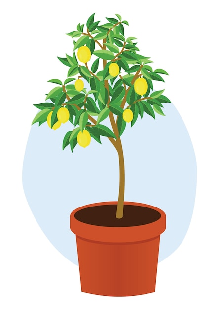 Vector lemon tree