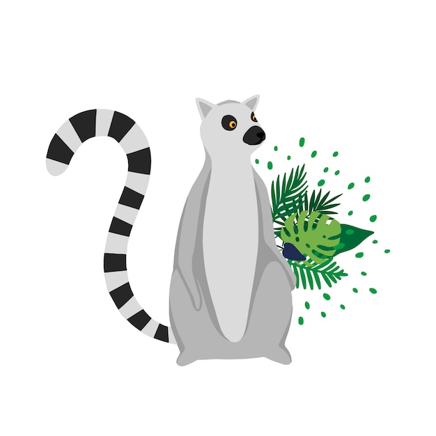 Lemur aislado en fondo blanco