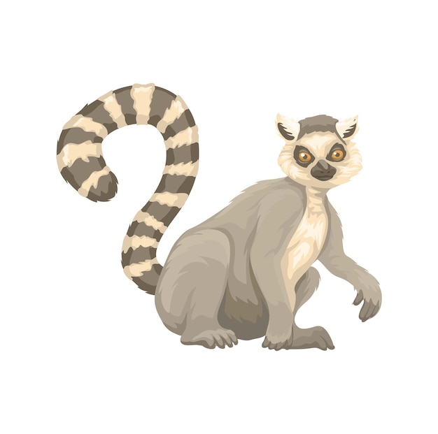 Lémur de cola anillada Especies animales Vector de ilustración de dibujos animados