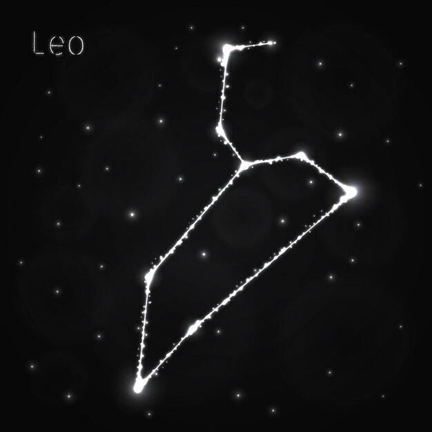 Vector leo silueta de luces