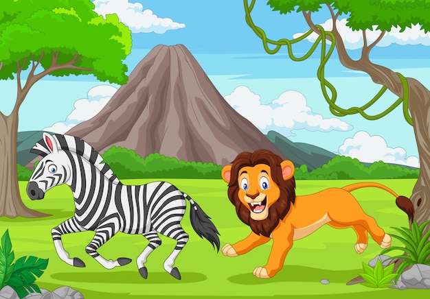 El león persigue a una cebra en una sabana africana.