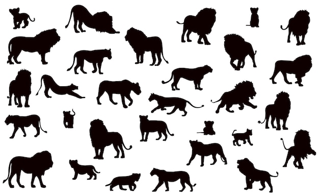 Leones leona león cachorro colección conjunto vector silueta negra