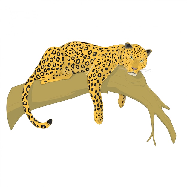 Vector leopardo en un árbol